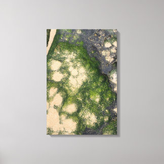 Zandsteen Rotsformatie met Smaragdgroene Mos Canvas Afdruk