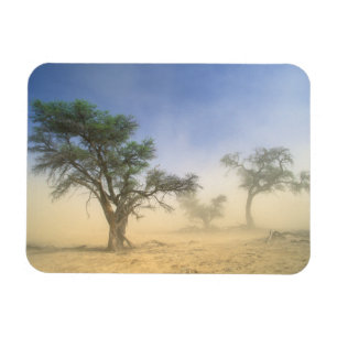 Zandstorm in Kalahariwoestijn, Kgalagadi Magneet