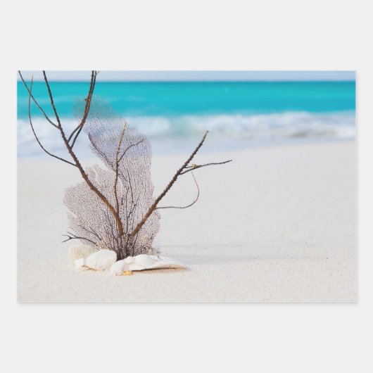 Zandstrand met witte schelpen inpakpapier vel (Voorkant)