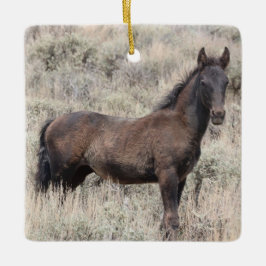 Zandwassenbekken Wilde paarden Keramisch siermeel Keramisch Ornament