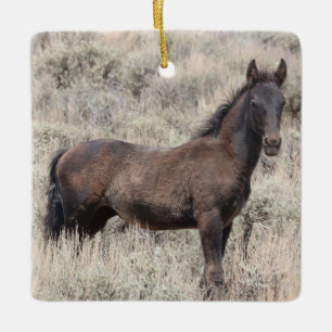 Zandwassenbekken Wilde paarden Keramisch siermeel Ornament