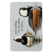 Zangers in het Making: Gedekte Mergansers Magneet (Verticaal)