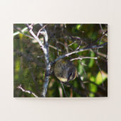 Zangvogel Vogel Foto Puzzel  (Horizontaal)