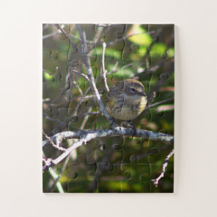 Zangvogel Vogel Foto Puzzel 