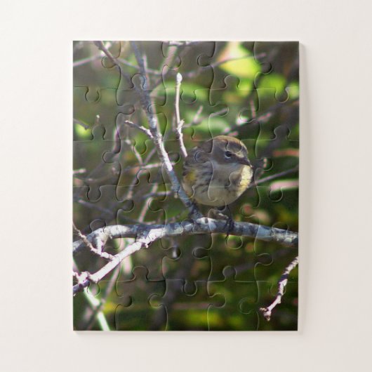 Zangvogel Vogel Foto Puzzel  (Verticaal)