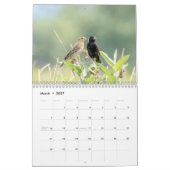 Zangvogels 2026 kalender (Mar 2027)