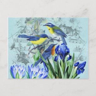 zangvogels Apparel en Gifts Briefkaart