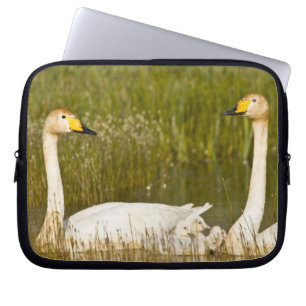 Zangzwanenpaar met jongen in IJsland. Laptop Sleeve