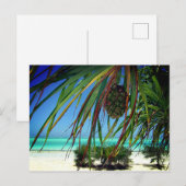 Zanzibar , Africa Briefkaart (Voorkant / Achterkant)