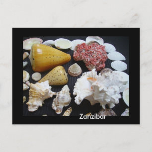 Zanzibar-schelpen Briefkaart