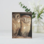 Zanzibar, Tanzania, Oost-Afrika Briefkaart (Staand voorkant)