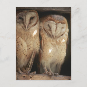 Zanzibar, Tanzania, Oost-Afrika Briefkaart