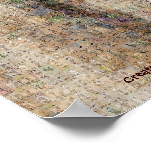 Zaphod - Het KMP Historie Poster (Hoek)