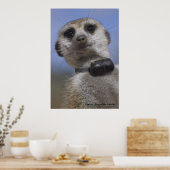 Zaphod - Poster du roi du Kalahari (Cuisine)