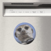 Zaphod - Roi du Magnet Kalahari (In Situ (Lave-vaisselle))