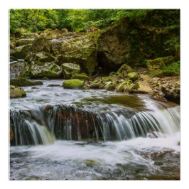 Zazzle waterverf, natuurlijk poster perfect poster