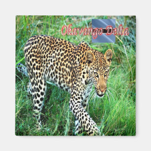 zBW007 OKAVANGO Delta, Ghepard BOTSWANA, Koelkast Magneet