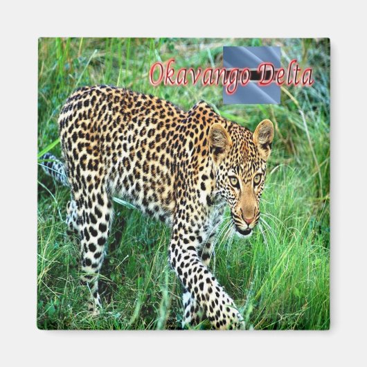 zBW007 OKAVANGO Delta, Ghepard BOTSWANA, Koelkast Magneet (Voorkant)