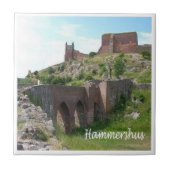 zDK006 HAMMERHSHUS, Friese eilanden, Tegeltje (Voorkant)