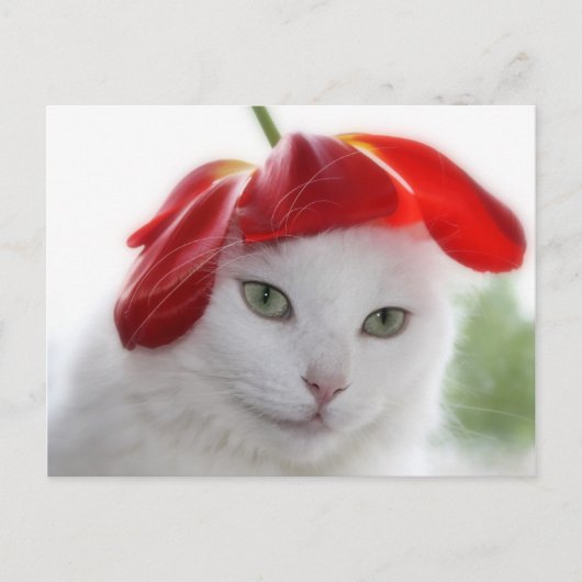 Ze droeg een Pet als een Tulp Briefkaart (Voorkant)