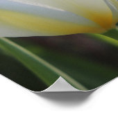 Ze is gekleed - Proverbs 31:25 floraal Poster (Hoek)