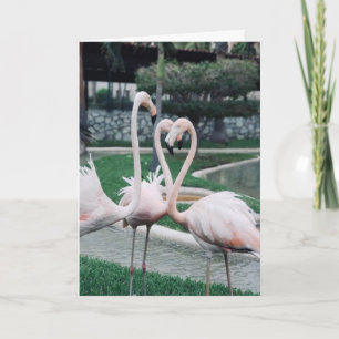 *ZE MAAKTEN ONS EEN HART-JE MAAKTE MIJN APPIER** KAART