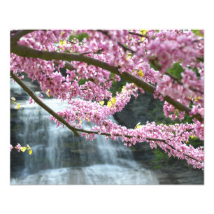 Ze-qua-ga waterfall 20 x16 inch fotoafdrukken foto afdruk