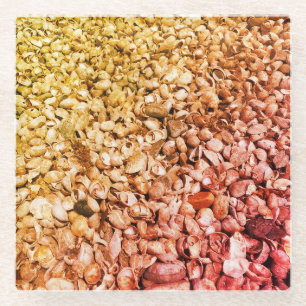 Ze verkoopt Ombre Seashells Glazen Onderzetter