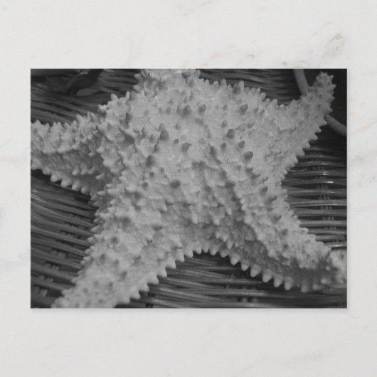 Ze verkoopt zeeschelpen aan de kust briefkaart (Voorkant)