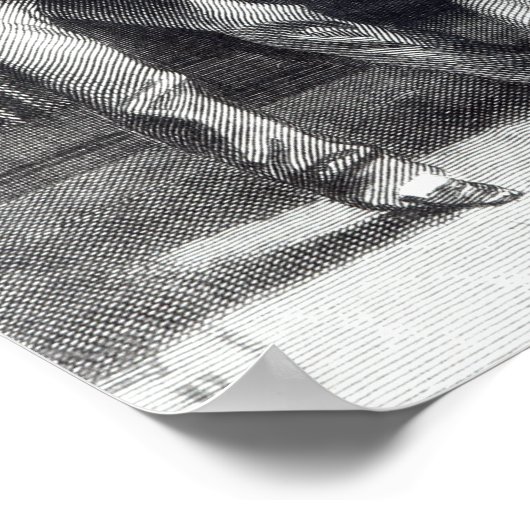 Ze vertelde hem wat Darcy vrijwillig had Poster (Hoek)