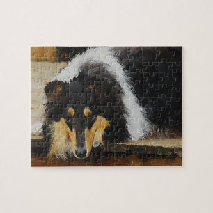 Ze wacht op Tri Collie Legpuzzel