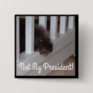 Ze zeggen dat honden de goede jongens van de slech vierkante button 5,1 cm