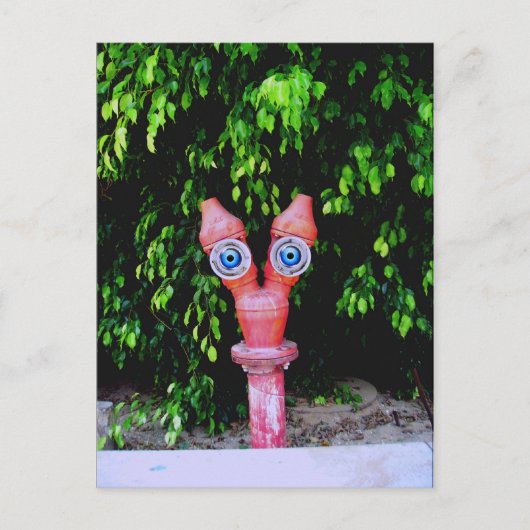 Ze zijn hier briefkaart (Voorkant)