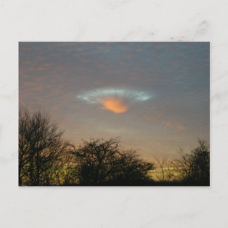 . . . Ze zijn hier!!! Briefkaart