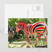 Zebhuh? door JLH Briefkaart (Voorkant / Achterkant)