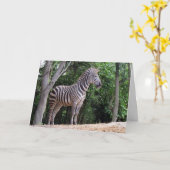 Zebra (1337) - Carte de voeux (Fleur jaune)