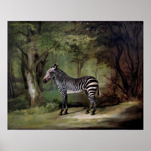 Zebra (1763) schilderij  poster (Voorkant)