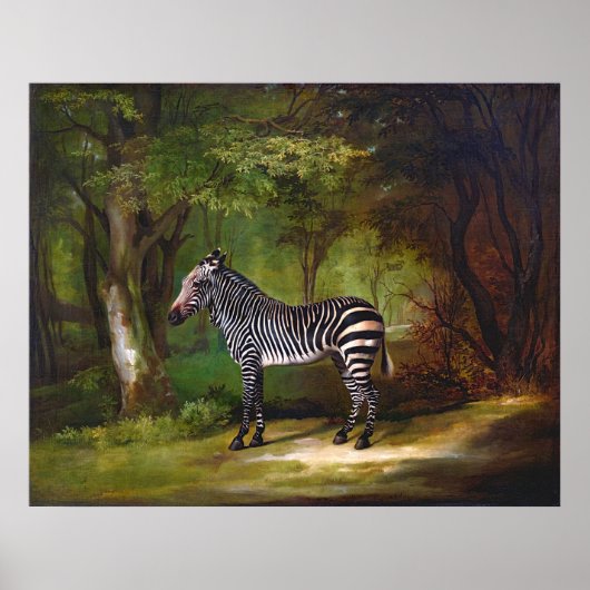 Zebra (1763) schilderij van George Stubbs Poster (Voorkant)