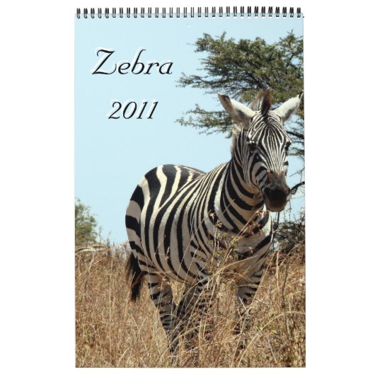 zebra 2011 kalender met één bladzijde (Hoes)