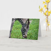 Zebra (2412) - Carte de voeux (Fleur jaune)