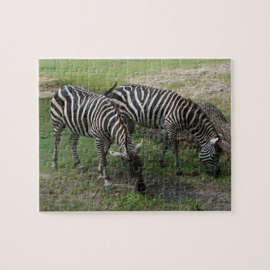 Zebra #2 Jigsaw Puzzle (Horizontal)