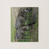 Zebra #2 Jigsaw Puzzle (Vertical)