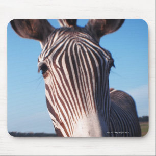 zebra 2 muismat