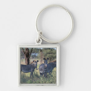 Zebra 2 sleutelhanger