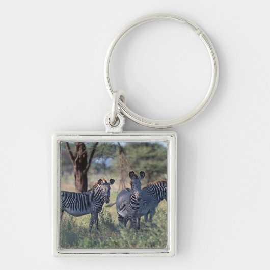 Zebra 2 sleutelhanger (Voorkant)