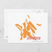 ZEBRA 3 BRIEFKAART (Voorkant / Achterkant)