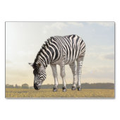 Zebra ABA Tact Labellisation Flashcard | Carte pho (Devant)