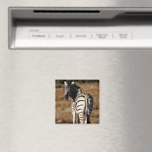 Zebra achter magneet (Insitu (Vaatwasser))