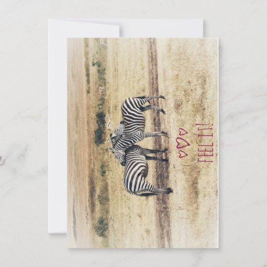 Zebra Affectie,  Plat Kerstkaart (Voorkant)