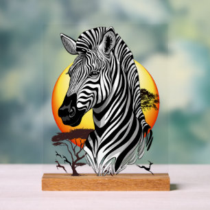 Zebra African Savanna Wild Animal
